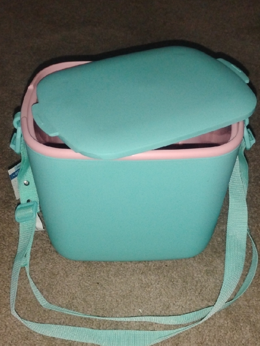 Women’s Crossbody Food Storage container in Teal and Pink